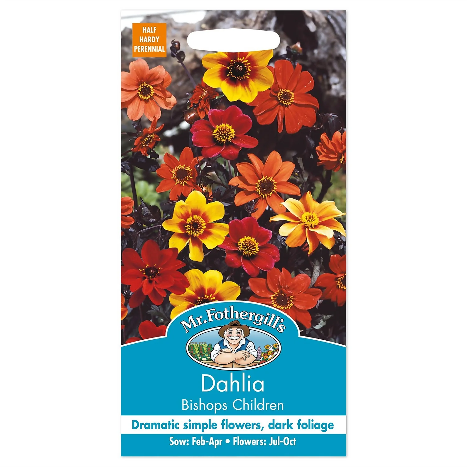 Mr. Fothergill's Dahlia Bishops Children Seeds 3 Mr. Fothergill's Dahlia Bishops Children Seeds