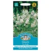 Mr. Fothergill's Gaura The Bride Seeds 1 Mr. Fothergill's Gaura The Bride Seeds -GreenScape Sales Store 12884091 1624843351225356
