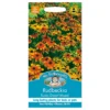 Mr. Fothergill's Rudbeckia Rustic Dwarf Mixed Seeds -GreenScape Sales Store 12884116 1064843351848336