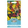 Mr. Fothergill's Wallflower Choice Mixed Seeds