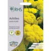 RHS Achillea Gold Plate -GreenScape Sales Store 12884745 1254843467248625