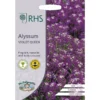 RHS Alyssum Violet Queen -GreenScape Sales Store 12884752 1574843467312861