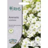 RHS Arenaria Montana 2 RHS Arenaria Montana -GreenScape Sales Store 12884754 1664843467440070