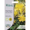 RHS Aquilegia Yellow Queen -GreenScape Sales Store 12884756 2124843467408975