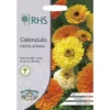RHS Calendula Fiesta Gitana 2 RHS Calendula Fiesta Gitana -GreenScape Sales Store 12884758 1174843468584798