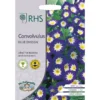 RHS Convolvulus Blue Ensign -GreenScape Sales Store 12884767 9374843468071519