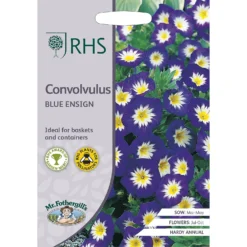 RHS Convolvulus Blue Ensign