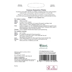 RHS Cosmos Sensation Pinkie -GreenScape Sales Store 12884768 1154843468236927