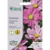 RHS Cosmos Sensation Pinkie -GreenScape Sales Store 12884768 1284843468205475