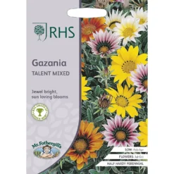 RHS Gazania Talent Mixed