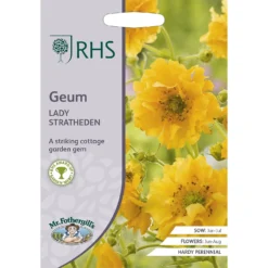 RHS Geum Lady Stratheden