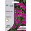 RHS Dianthus Deltoides 1 RHS Dianthus Deltoides -GreenScape Sales Store 12884774 1554843468339809