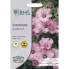 RHS Lavatera Sliver Cup -GreenScape Sales Store 12884787 9944843468882458