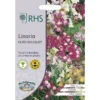 RHS Linaria Fairy Bouquet -GreenScape Sales Store 12884789 1274843469018766