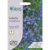 RHS Lobelia Cascade Blue