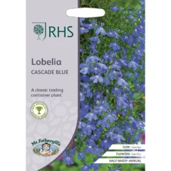 RHS Lobelia Cascade Blue