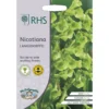 RHS Nicotiana Langsdorffii -GreenScape Sales Store 12884795 9764843469632149