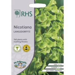RHS Nicotiana Langsdorffii