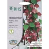 RHS Rhodochiton Purple Bell Vine -GreenScape Sales Store 12884798 2124843469733141