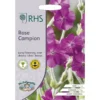 RHS Rose Campion -GreenScape Sales Store 12884799 2544843469764902
