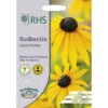 RHS Rudbeckia Goldsturm -GreenScape Sales Store 12884801 8284843469489163