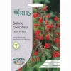 RHS Salvia Coccinea Lady In Red 1 RHS Salvia Coccinea Lady In Red -GreenScape Sales Store 12884803 4154870986320721