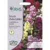 RHS Stock Cinderella Mixed -GreenScape Sales Store 12884807 7924843469860281