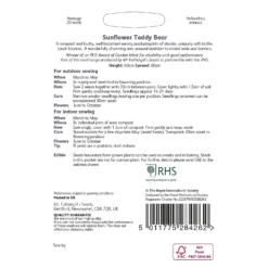 RHS Sunflower Teddy Bear -GreenScape Sales Store 12884808 1514843469940567