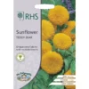 RHS Sunflower Teddy Bear 1 RHS Sunflower Teddy Bear -GreenScape Sales Store 12884808 2114843469926740