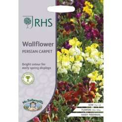 RHS Wallflower Persian Carpet