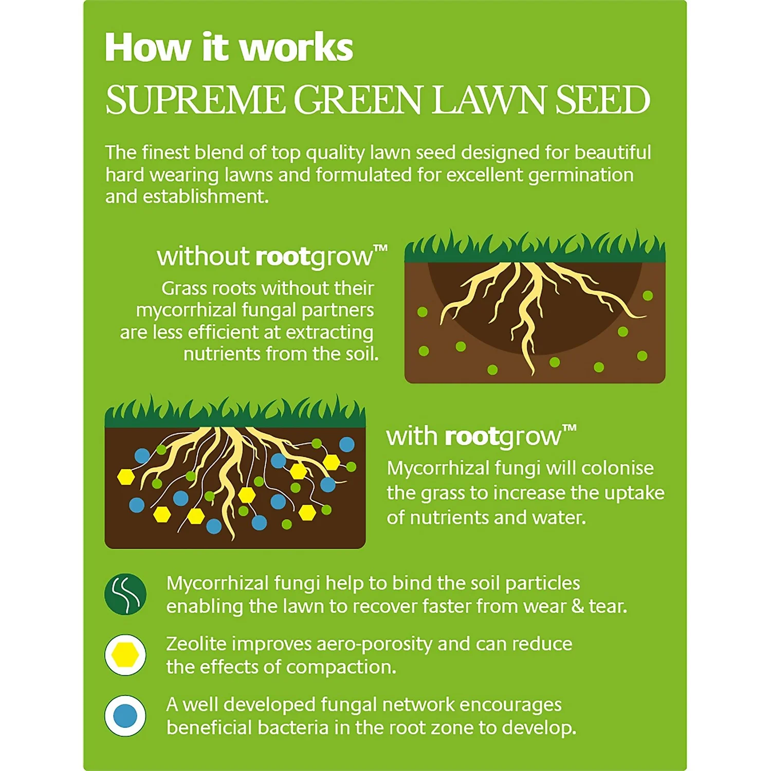 Empathy Supreme Green Lawn Seed With Rootgrow™ 4 Empathy Supreme Green Lawn Seed With Rootgrow™ - Image 2