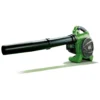 Powerbase Petrol Garden Leaf Blower - 27.2cc -GreenScape Sales Store 12885530 2254893055624332
