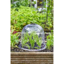 Smart Garden Bell Cloche - 20 X 26cm -GreenScape Sales Store 12885569 8414856725304589