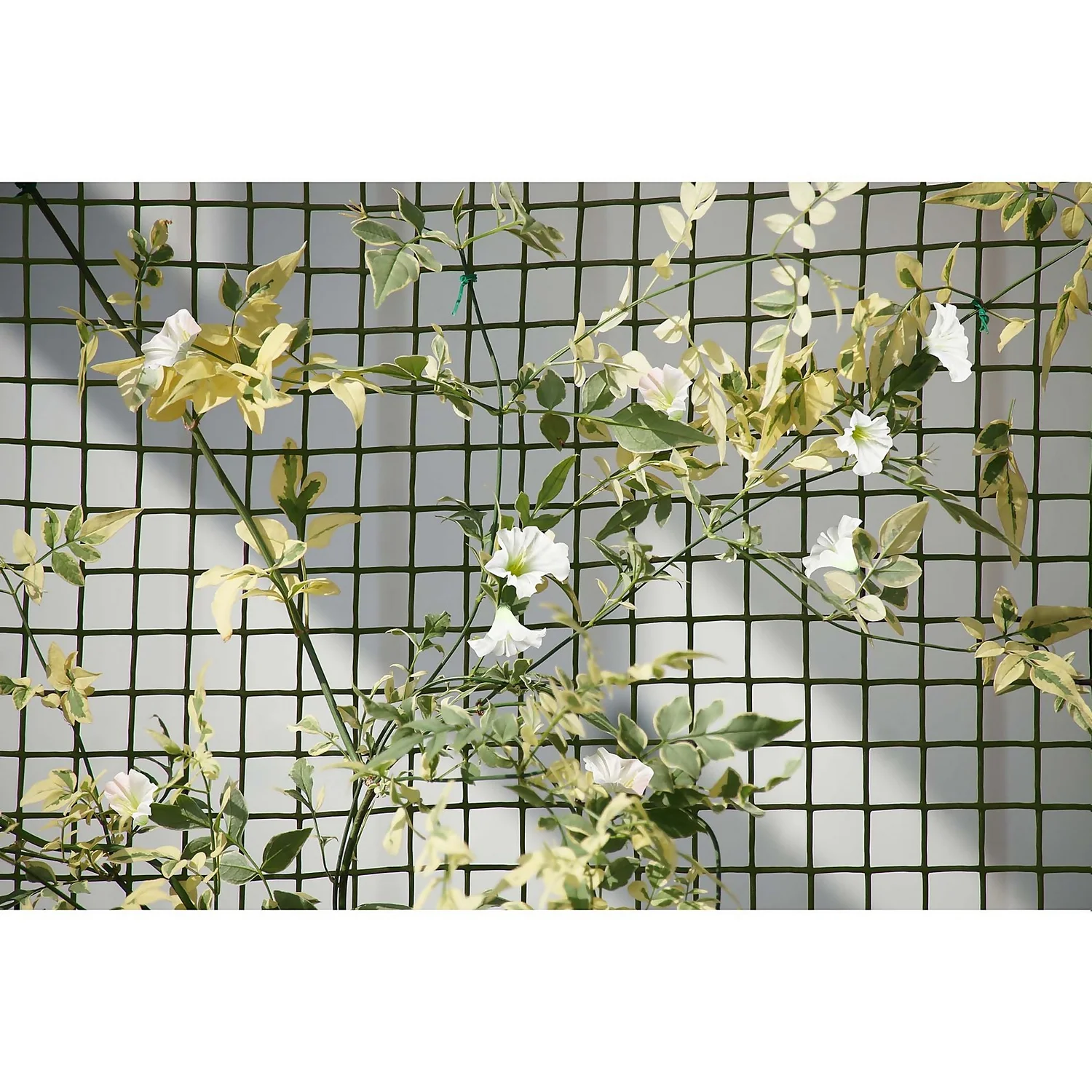 General Purpose Garden Mesh 4 General Purpose Garden Mesh - Image 2