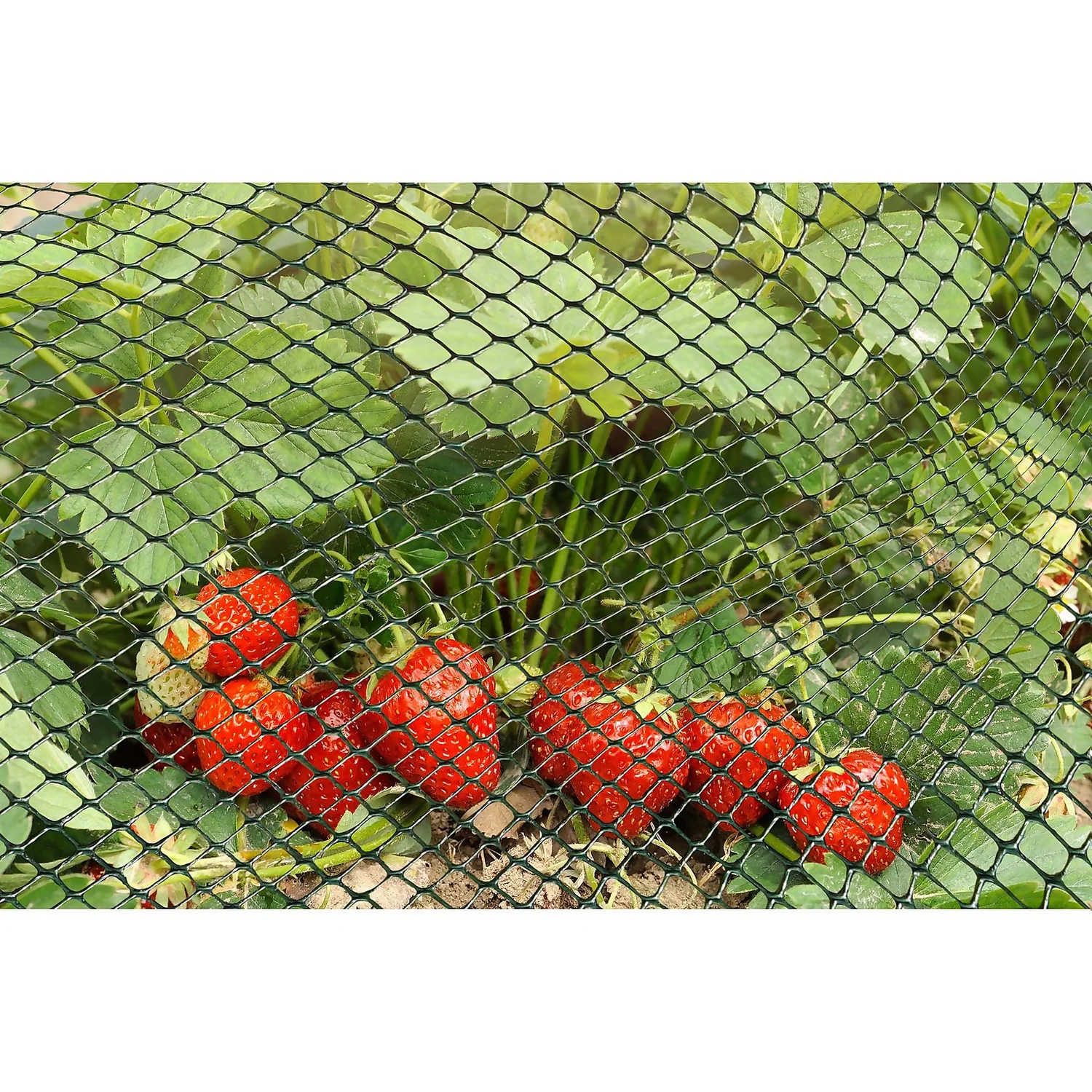 15mm Green Multi-Mesh - 5m X 1m 4 15mm Green Multi-Mesh - 5m X 1m - Image 2