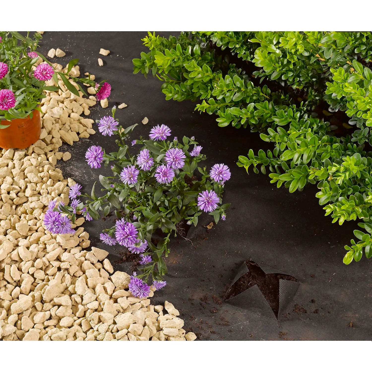 Smart Garden Ground Control Fabric - 15m X 1m (90gsm) 4 Smart Garden Ground Control Fabric - 15m X 1m (90gsm) - Image 2