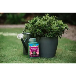 Westland Ericaceous Specialist Feed - 1l -GreenScape Sales Store 12886482 6714971590616774