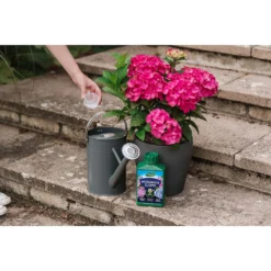 Westland Hydrangea Feed - 1l -GreenScape Sales Store 12886486 1744971590629542