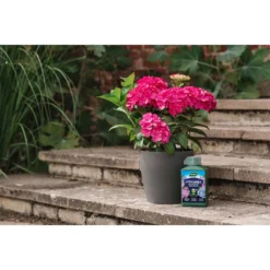 Westland Hydrangea Feed - 1l -GreenScape Sales Store 12886486 5014971590603901