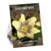 Asiatic Lily Easy Spot -GreenScape Sales Store 12889022 1565020401868059