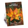 None Pot Lily Happy Memories Flower Bulbs -GreenScape Sales Store 12889025 1365020584705630