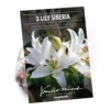 Oriental Lily Siberia 2 Oriental Lily Siberia -GreenScape Sales Store 12889026 1885020584708318