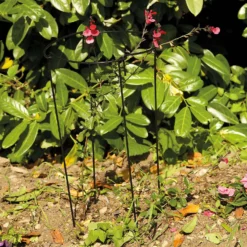 Gro-Links 20cm With 50cm Legs - 4 Pack 5 Gro-Links 20cm With 50cm Legs - 4 Pack -GreenScape Sales Store 12889098 2024856732931486