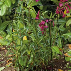 Smart Garden Flexiring Single 35cm With 60cm Legs -GreenScape Sales Store 12889116 1934856734792755