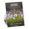 Agapanthus Silver Arrow -GreenScape Sales Store 12889202 9635020401703833