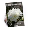 Peony Lactiflora Shirley Temple -GreenScape Sales Store 12889204 1565020401709137