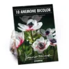 Anemone Bicolor -GreenScape Sales Store 12889208 7575020401871677