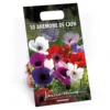None Anemones Coronaria De Caen -GreenScape Sales Store 12889212 1665022410501031