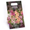 None Gladioli Nanus Mixed -GreenScape Sales Store 12889222 1015022410499204