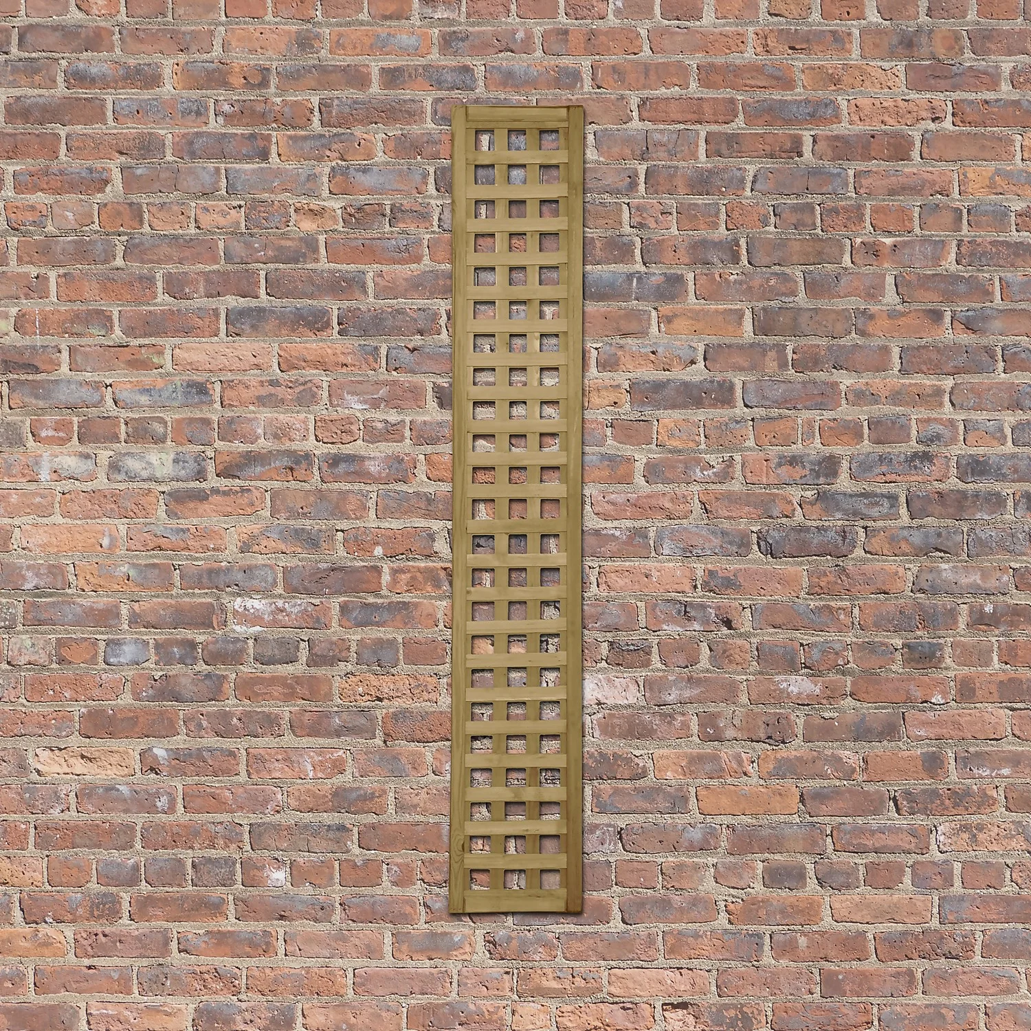 Forest Prem Framed Trellis - 180x30cm - 10pk 6 Forest Prem Framed Trellis - 180x30cm - 10pk - Image 4